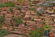 Thumbnail planted sandstone wall.jpg 