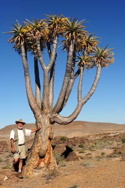 Scaled image South Africa Day 12  Cornellskop to Lekkersing to Wolfber320_new.jpg 